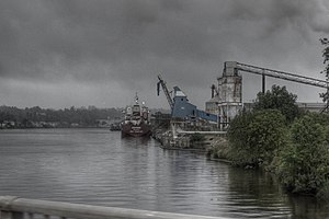 View from the Demerara River