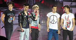 A One Direction a Take Me Home Tour egyik állomásán, 2013 februárjában. A tagok balról jobbra: Harry Styles, Zayn Malik, Niall Horan, Liam Payne és Louis Tomlinson.