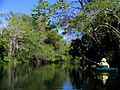 Paddling on the Hillsborough River