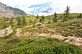 Vue du parc naturel du Mont-Avic