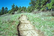 Pine Ridge Trail on Kamiak Butte