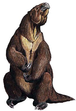 Rajz az óriáslajhárról (Megatherium americanum)