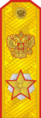 Exercito da Rússia (Márshal Rossíyskoy Federátsii)