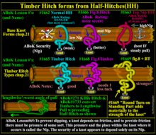 Comparison of 3 types of Half Hitches, and then Timber Hitches, including Killik conversion for errant angle of pull.