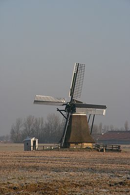 De Eendracht (winter 2008)