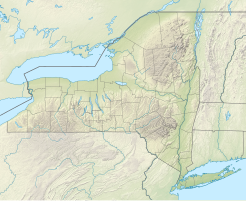 Ontario (New York)