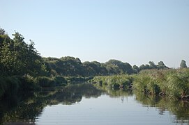 Photographie d'un plan d'eau entouré d'arbres.