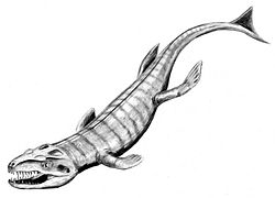 Dakosaurus andiniensis の生態復元