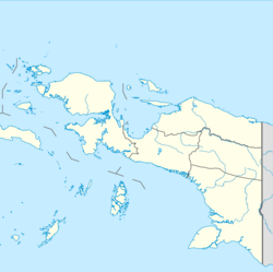 1989 Irian Jaya earthquake is located in Western New Guinea