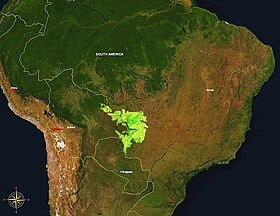 Vymezení Pantanala na jihoamerickém kontinentu