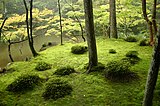 Taman lumut Saihō-ji merupakan Tempat Khusus dengan Pemandangan Indah dan Situs Bersejarah