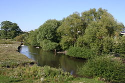 Река Гнездечна в Смыковцах