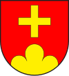 Wappen von Surcuolm