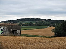 Vue du mont Noir depuis la commune de Boeschepe.