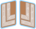 1934年中頃の細胞役員襟章