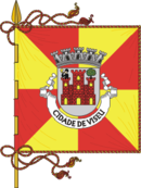 Bandeira de {{{município}}}