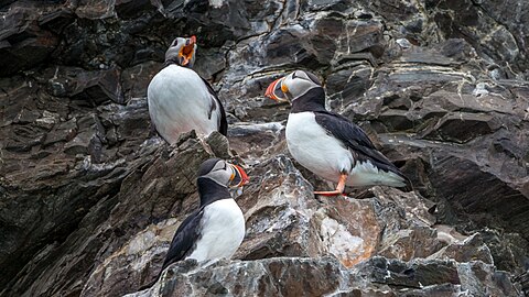 Krossfjord på Svalbard