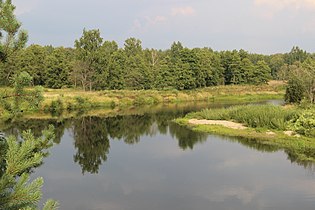 Wiks va Teza kuksa