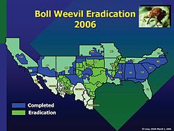 Mapa de erradicación (USDA, 2006)