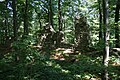 Mauerreste der Burgruine Helfenberg auf dem Schloßberg