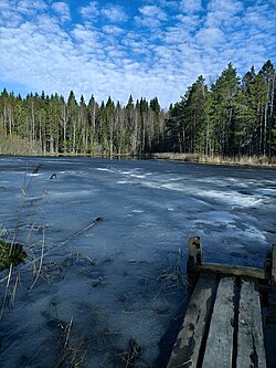 Keväinen kuva Ammejärven laiturilta. Järvi on vielä hieman jäässä.