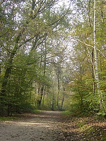 Immagine che rappresenta pista ciclabile all'interno del Parco Groane.