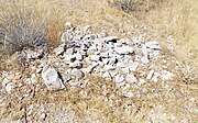 Grave of one of the victims of the Wickenburg Massacre