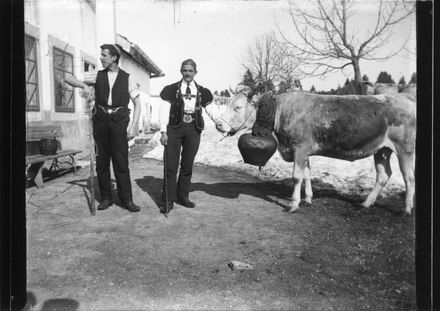 Armailli portant le bredzon, vers 1900-1930 aux Franches-Montagnes.