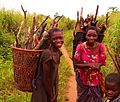 Image 18Collecting firewood in Basankusu. (from Democratic Republic of the Congo)