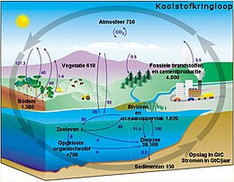 Koolstofkringloop