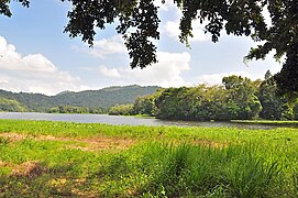 View of the river in Carraízo, Trujillo Alto close to the reservoir.