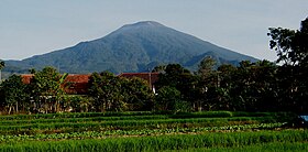 Le Ciremai vu du village de Cigugur