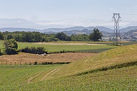 Vers Saint-Didier-de-Bizonnes, dans l'ouest.