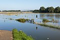 Arnhem, Park Stadsblokken-Groene Weide durante la marea alta en el Rin