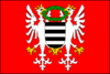 Flag of Březnice