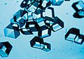 Image 39Synthetic insulin crystals synthesized using recombinant DNA technology (from History of biotechnology)