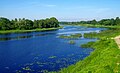 Pärnu rivero en Tori.