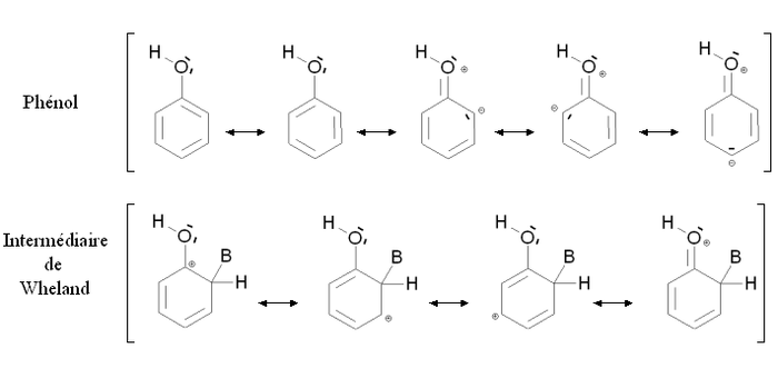 Stabilisasi oleh mesomerisme fenol dan zat antara Wheland