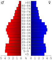 Bevolkingspiramide Saginaw County