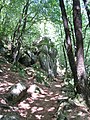 Sentier piétonnier longeant les gorges dans la forêt de Duault.