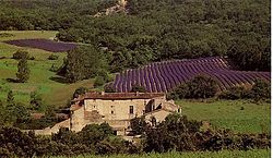 Skyline of Roche-Saint-Secret-Béconne