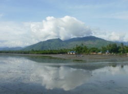 Bua beach in Luwu