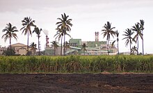 Ang pabrika sa tubo ug ang bagasse / karbon nga doble nga planta sa Gol, sa Saint-Louis