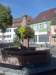 Herbolzheim – Veduta