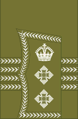 World War I colonel's rank insignia (general pattern)