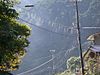 Web on electric power cable in Tanabe, Wakayama