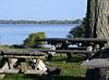 Picnic tables along the Saint Lawrence River in Robert Moses State Park.