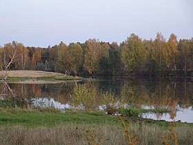 Wiks va Teza kuksa