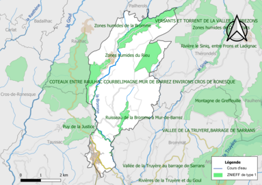 Carte des ZNIEFF de type 1 de la commune.