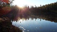 Gryning vid Inner-Abborrtjärnen den 11 oktober 2015.